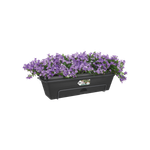 green basics trough allin1 50cm living black